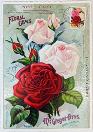 Postkarte Rand gezackt A6 Floral Gems Rosen